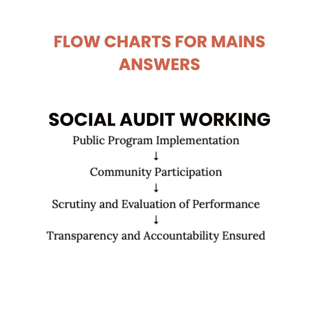 Flow chart for social audit working on a white background
